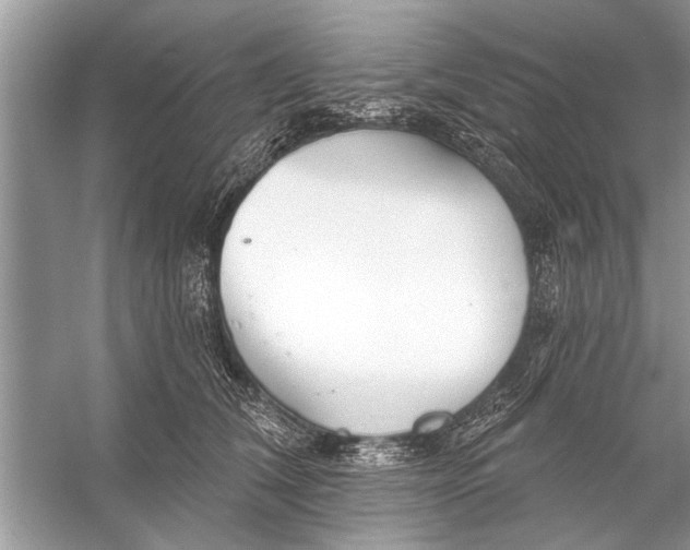 X0000055990612200509162253