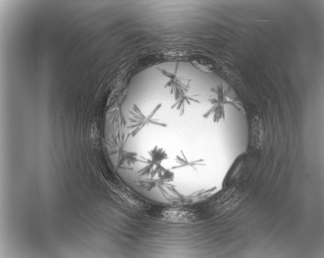 X0000055990614200509162253