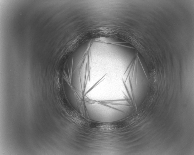 X0000055990615200509162253