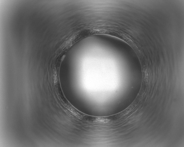 X0000055990617200509162253