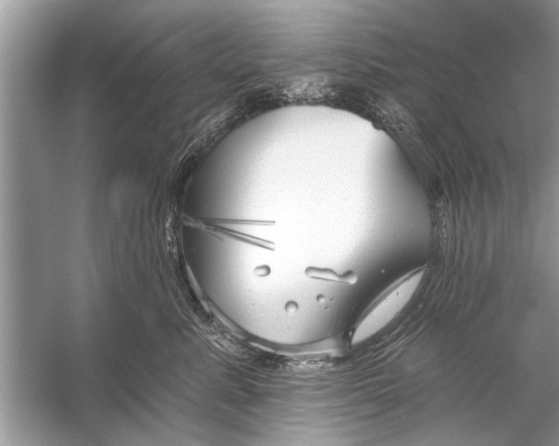 X0000055990619200509162253