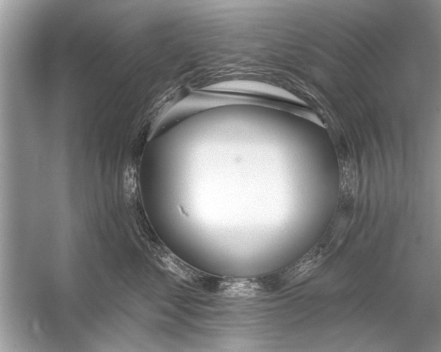 X0000055990621200509162253