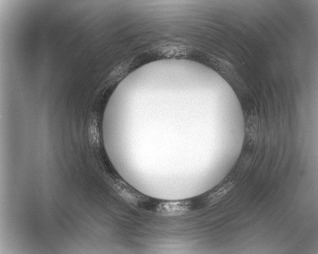 X0000055990622200509162253