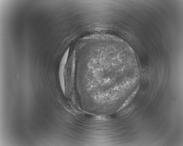 X0000055990623200509162253