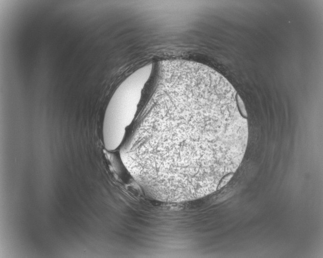 X0000055990624200509162253