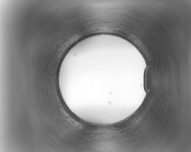 X0000055990625200509162252