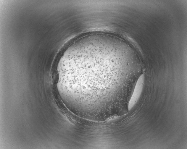 X0000055990628200509162252