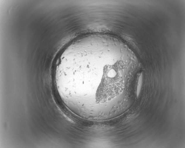 X0000055990630200509162252