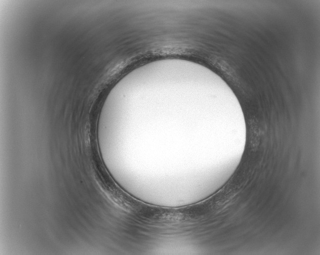 X0000055990631200509162252