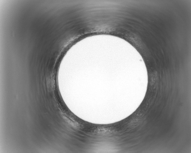 X0000055990632200509162252