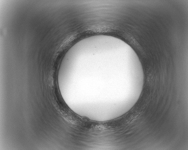 X0000055990635200509162252