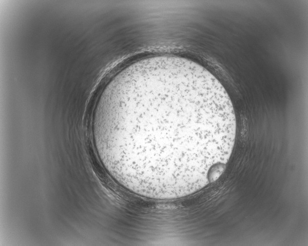 X0000055990636200509162252