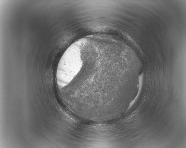 X0000055990637200509162252