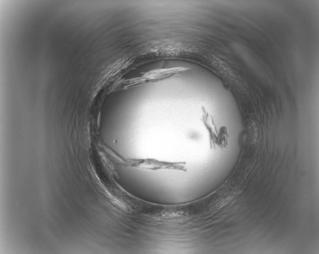 X0000055990638200509162252