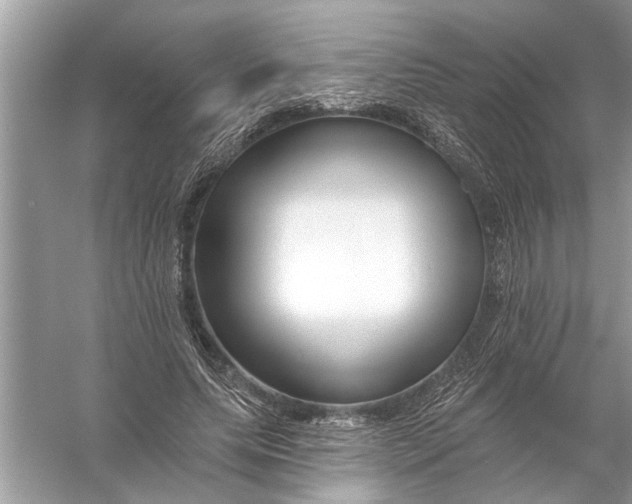 X0000055990639200509162252