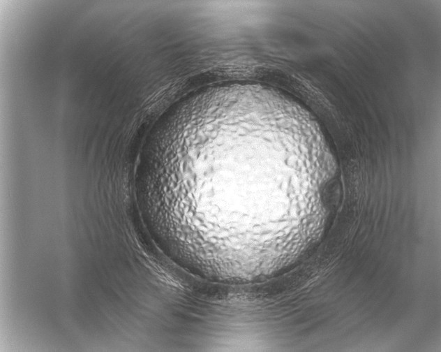 X0000055990641200509162252