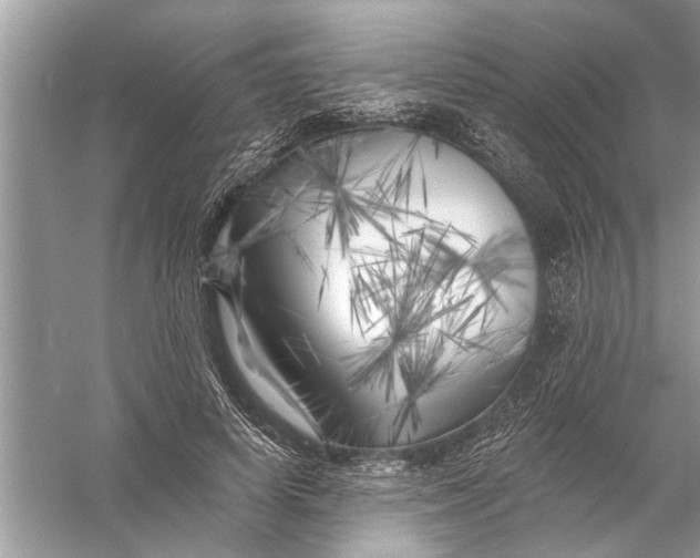 X0000055990642200509162252