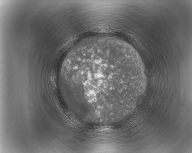 X0000055990643200509162252