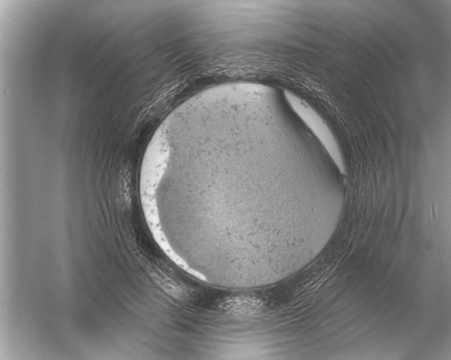 X0000055990644200509162252