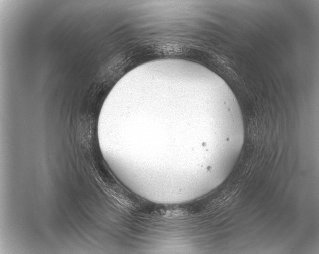 X0000055990645200509162252