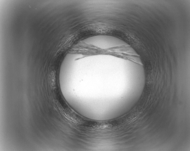 X0000055990646200509162252