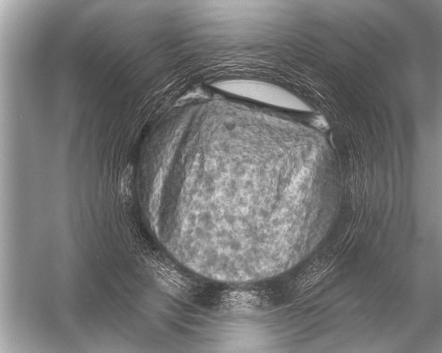 X0000055990649200509162253