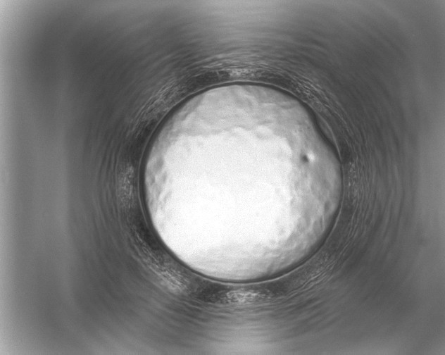 X0000055990650200509162253