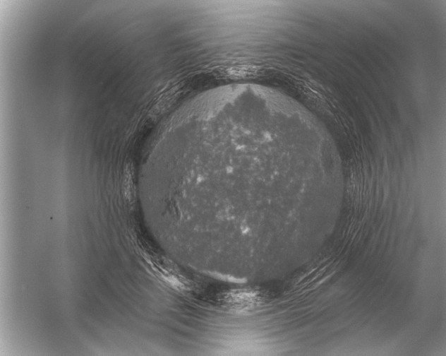 X0000055990651200509162253