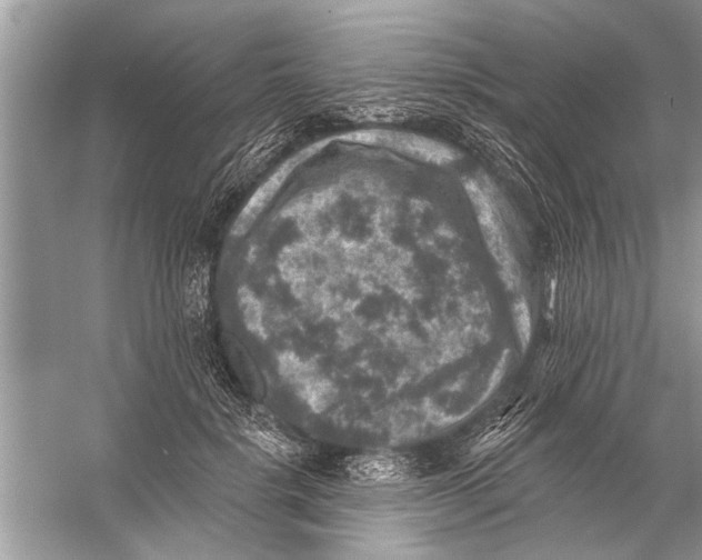 X0000055990652200509162253