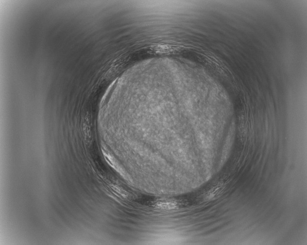 X0000055990653200509162253