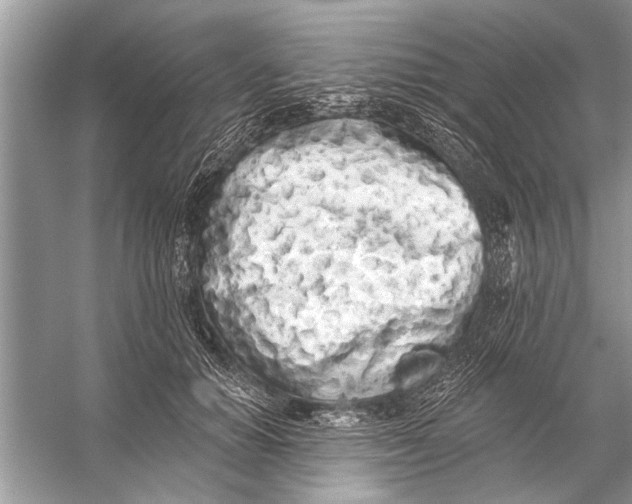 X0000055990654200509162253