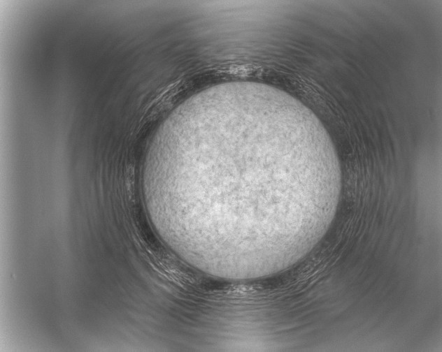 X0000055990656200509162253