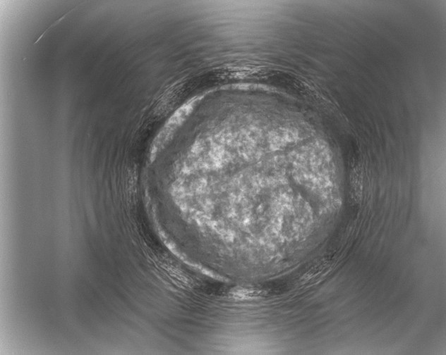 X0000055990657200509162253