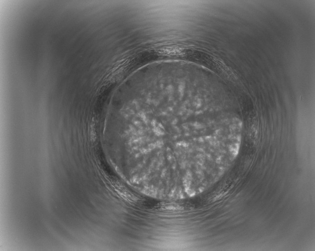 X0000055990658200509162253