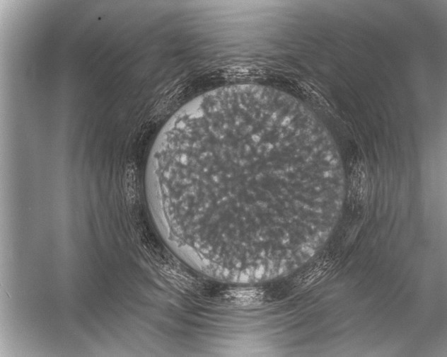 X0000055990659200509162253