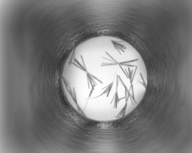 X0000055990660200509162253