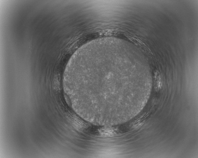 X0000055990661200509162253