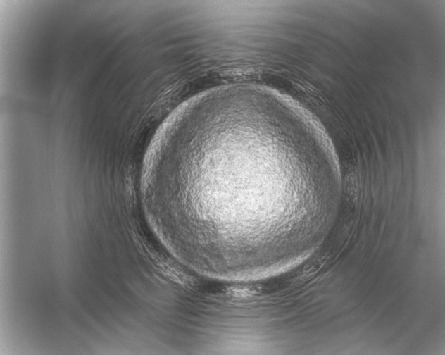 X0000055990662200509162253