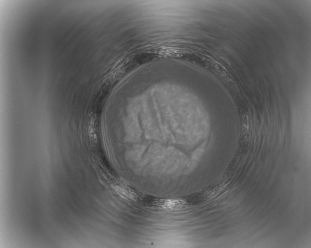 X0000055990663200509162253