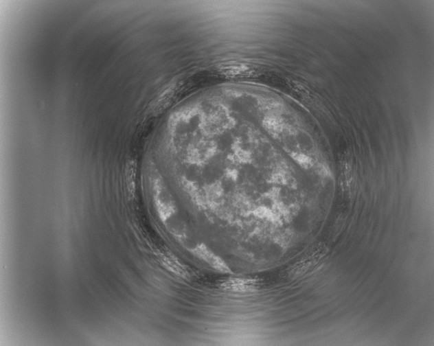 X0000055990664200509162253