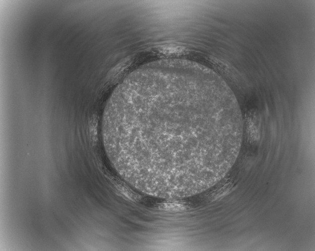 X0000055990668200509162253