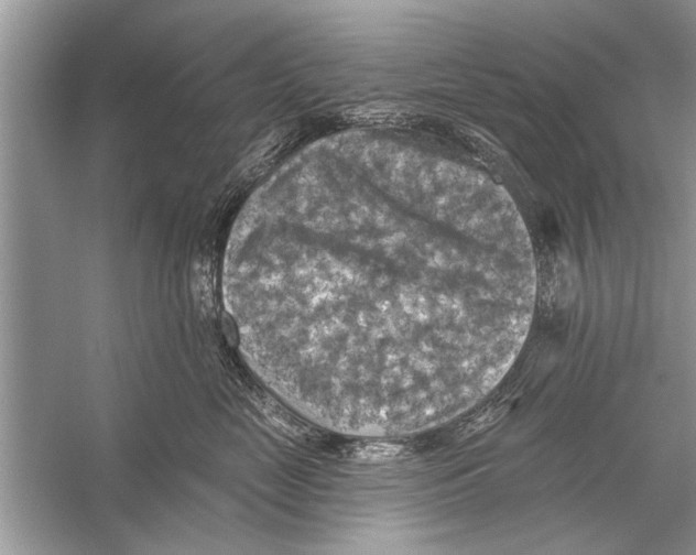 X0000055990669200509162253