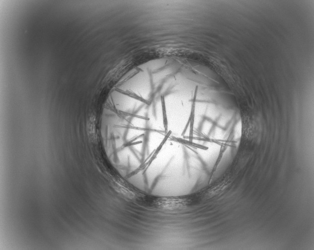 X0000055990670200509162253