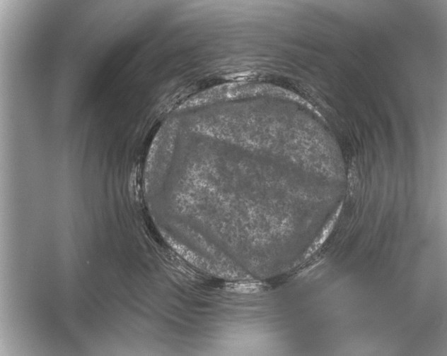 X0000055990671200509162253