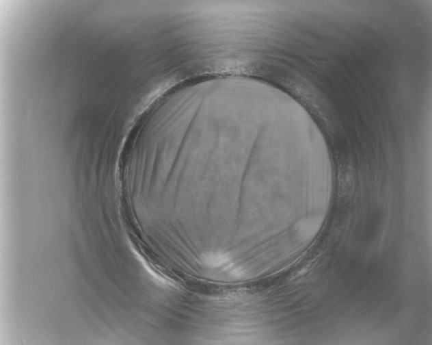 X0000055990674200509162252