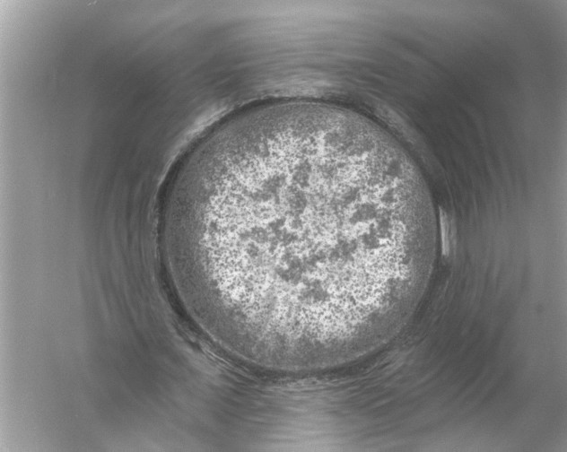 X0000055990675200509162252