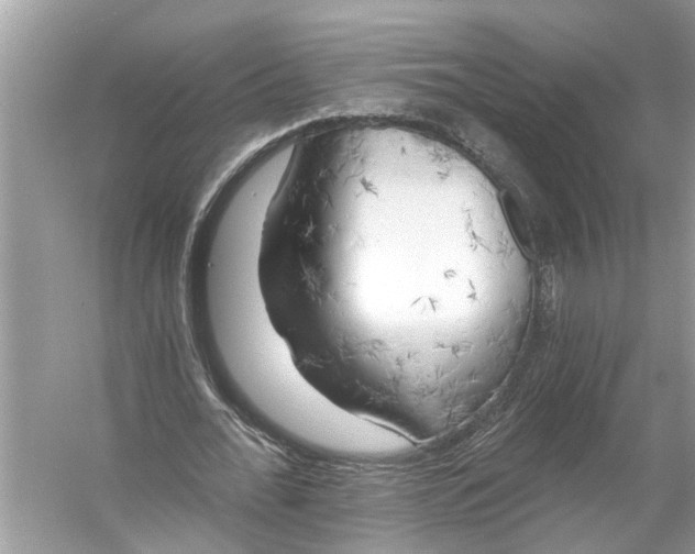 X0000055990676200509162252