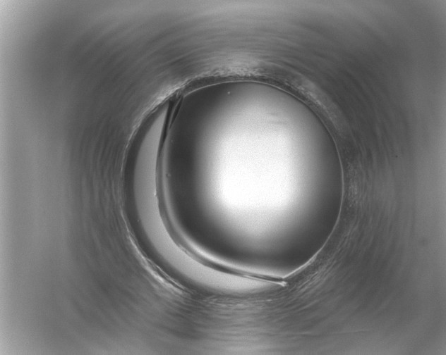 X0000055990677200509162252