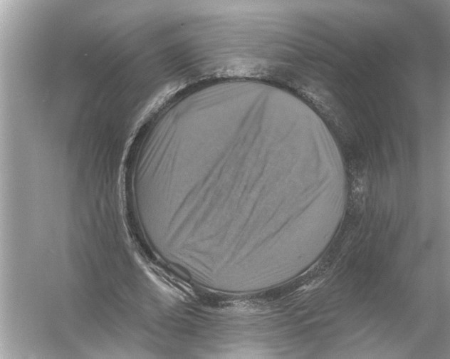 X0000055990678200509162252