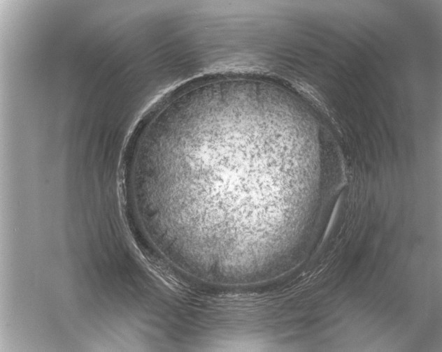 X0000055990680200509162252